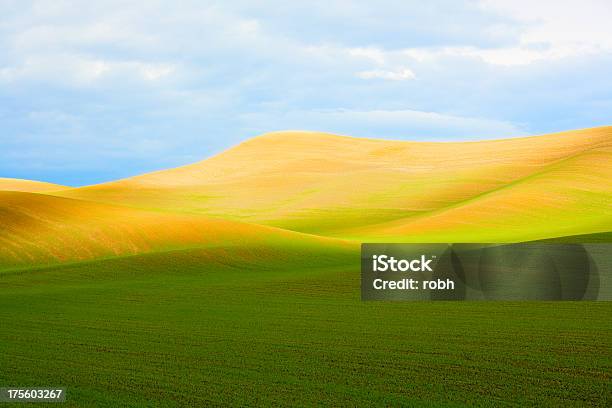 Eastern Washington Paesaggio - Fotografie stock e altre immagini di Palouse - Palouse, Stato di Washington, Grano - Graminacee