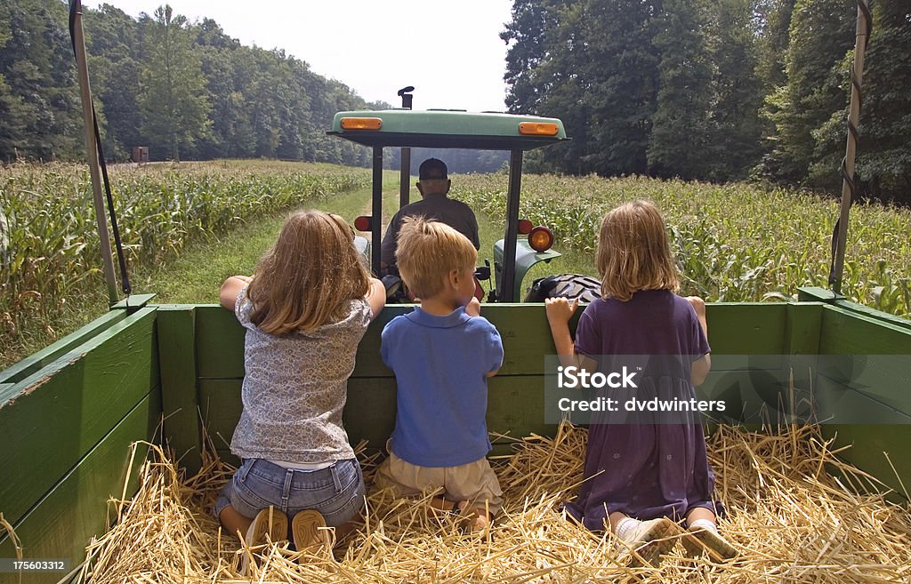 Fratelli fare un viaggio di fieno - Foto stock royalty-free di Passeggiata su un carro di fieno