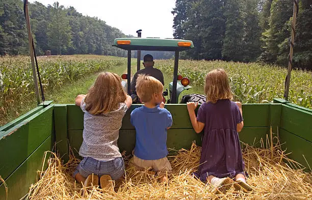 Photo of Siblings go for a hay ride