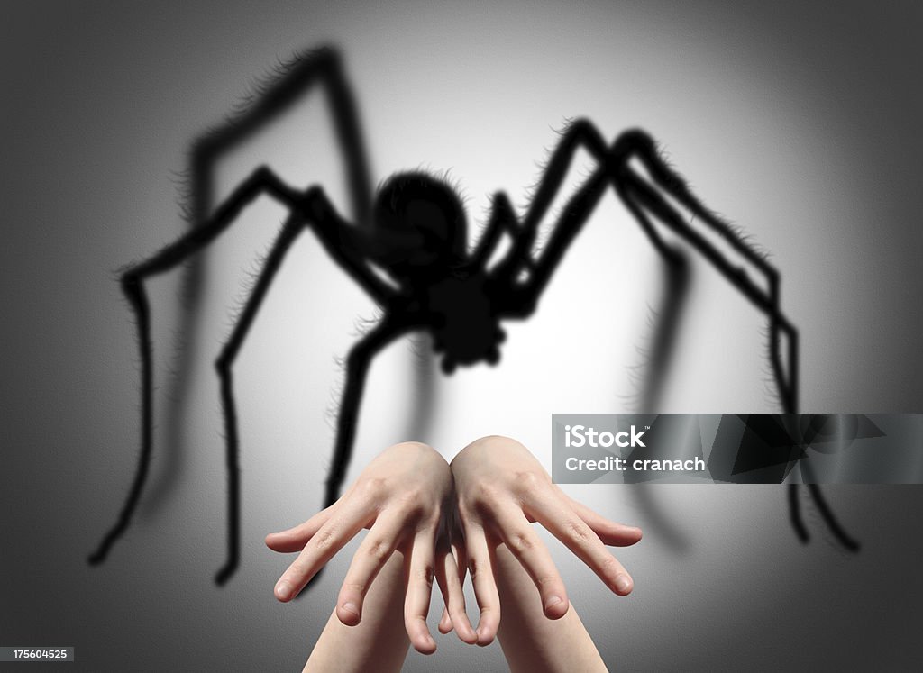 Araña sombra en la pared - Foto de stock de Adulto libre de derechos