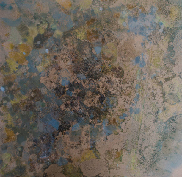 istock Colorful grunge concrete wall texture background 1756049425