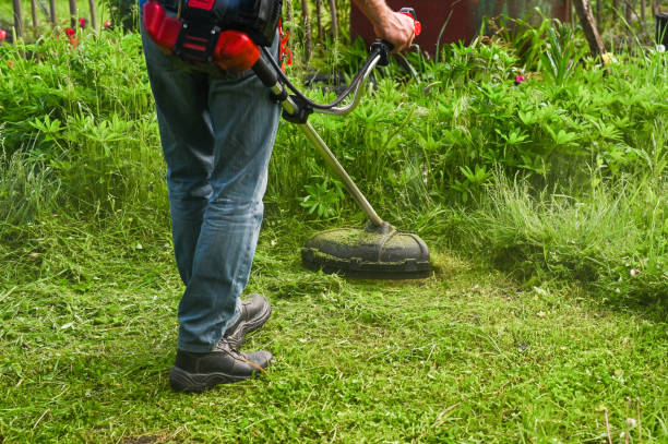 istock human mows the lawn grass with a lawn mower 1756053898
