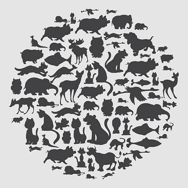 illustrazioni stock, clip art, cartoni animati e icone di tendenza di animale motivo cerchio - animal color immagine