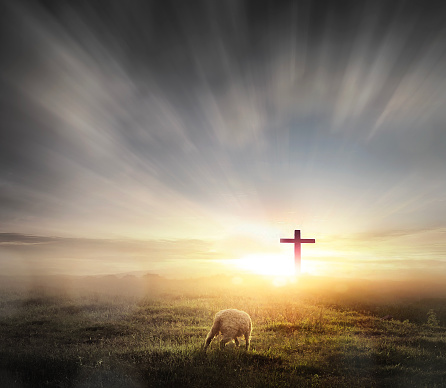 a lost sheep on Silhouettes of crucifix symbol on mountain with bright sunbeam on the colorful sky background