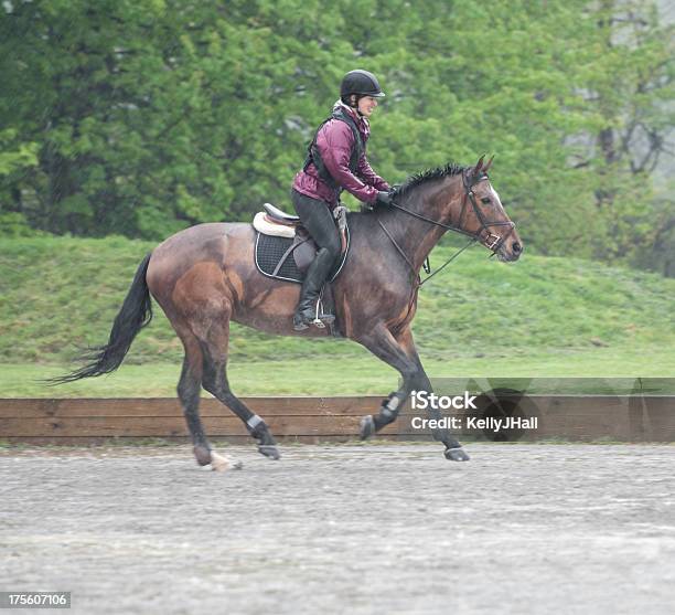 Montar Con Fregadero Foto de stock y más banco de imágenes de Caballo - Familia del caballo - Caballo - Familia del caballo, Lodo, Mojado