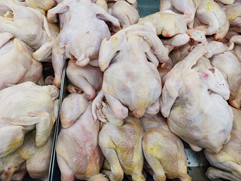 Whole raw chickens for sale