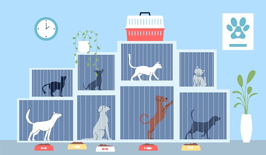 Animal shelter with dogs and cats in cages. Feeding homeless animals, adopt me concept. Social work or volunteering recent vector flat illustration of cat dog pet in shelter