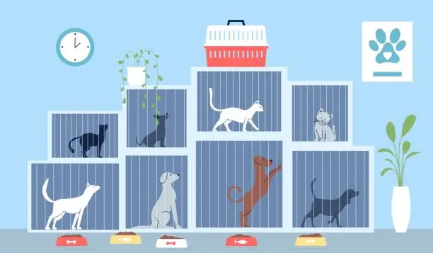 Vector illustration of Animal shelter with dogs and cats in cages. Feeding homeless animals, adopt me concept. Social work or volunteering recent vector flat illustration