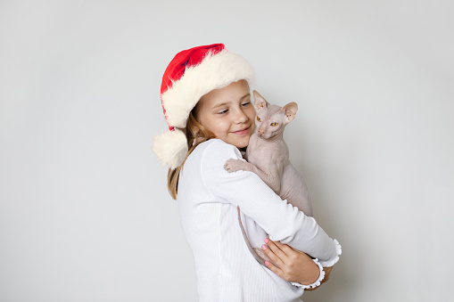 Christmas portrait of pretty child in Santa hat and cat pet on white background