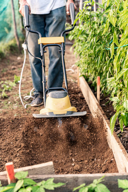 istock Active Senior Man on Sunny Autumn Day Using Cultivator to Digging the Soil in the Vegetable Garden 1756132048