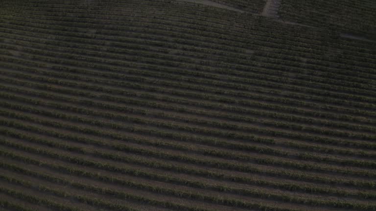 Aerial view of Barossa Valley, Adelaide, Australia.