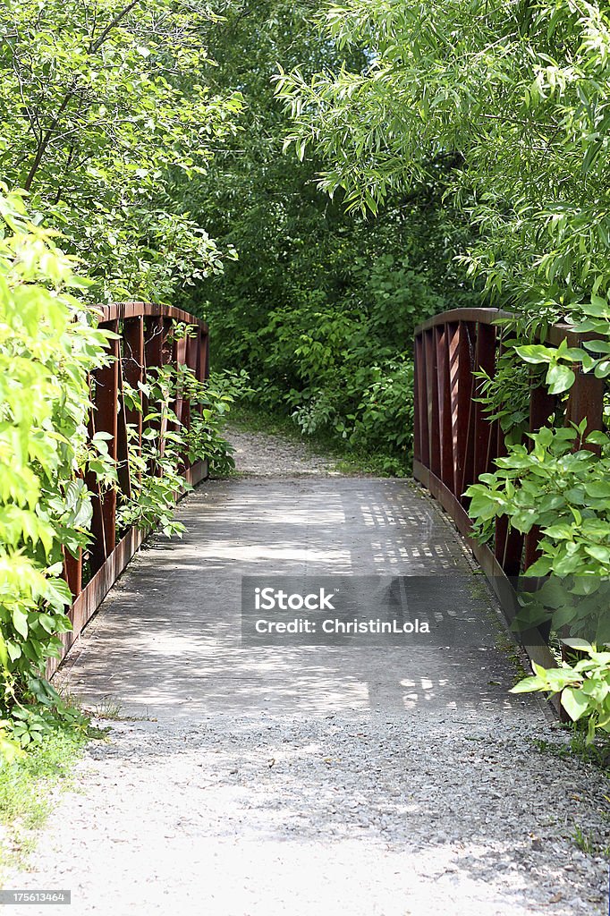 Ponte trilha no bosque - Foto de stock de Bicicleta royalty-free