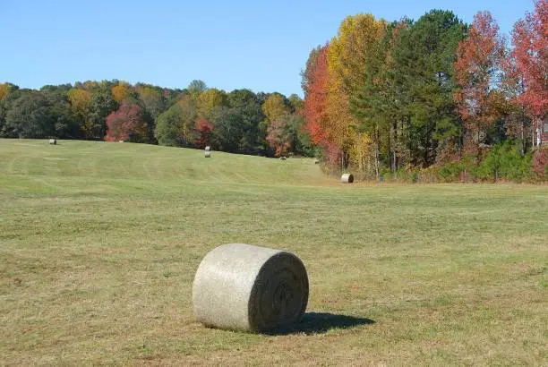 Bales of hay at farm area at the fall season