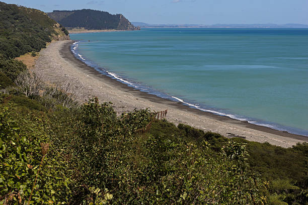 istock View on Pacific Ocean in New Zealand 175614538