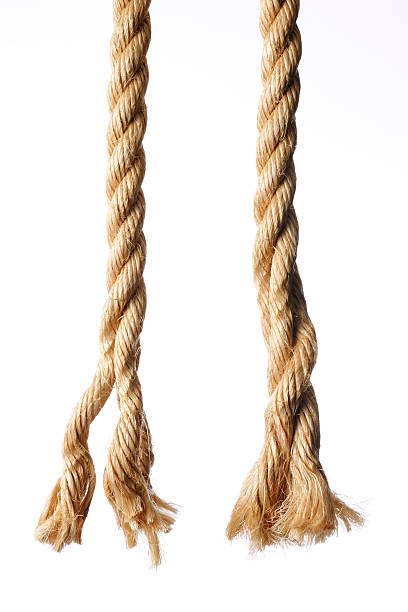 istock End of two brown ropes against white background 175614941