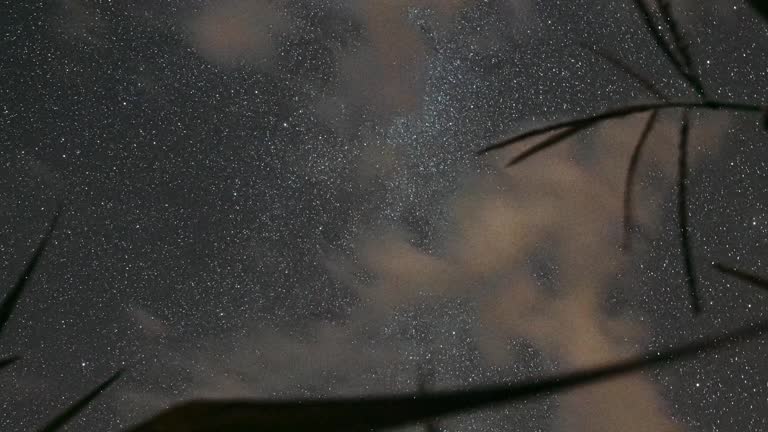 4K Night Starry Sky With Glowing Stars And Meteoric Track Trails Above Green Maize Corn Field Plantation In Summer Agricultural Season. Cornfield In August Month. Agricultural Background Time Lapse, TimeLapse, Time-Lapse.