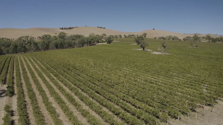 Aerial view of Barossa Valley, Adelaide, Australia.