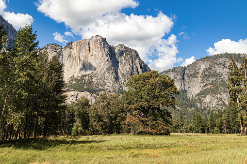 High Sierra view with trees and mountain peaks in the background.\n\nTaken in Yosemite National Park, California, USA