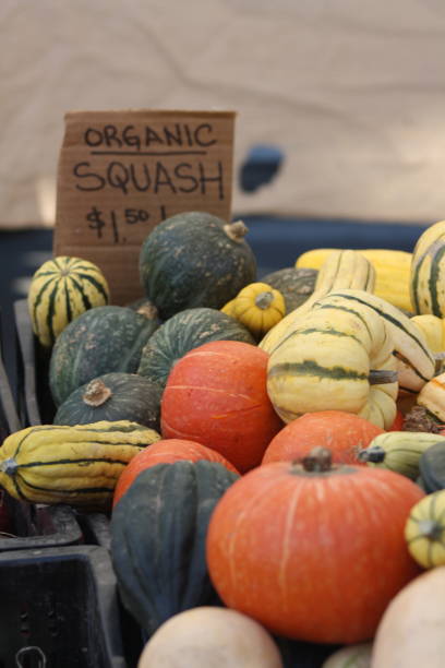 istock Farmer's Market Squash 1756167716