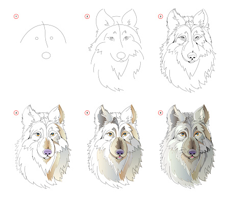 How to learn to draw sketch of the fairy tale wolfs head. Creation step by step watercolor painting. Educational page for artists. Textbook for developing artistic skills. Online education.