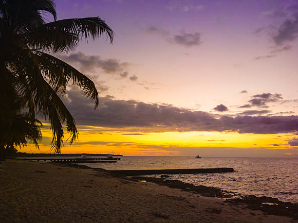 Tropical beach Beach in Maria LaGorda, Cuba at dusk. maria la gorda stock pictures, royalty-free photos & images