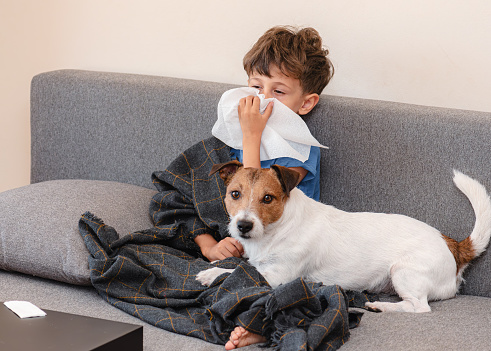 Sick kid and dog on sofa