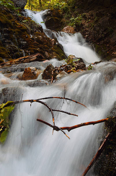 istock Urlatoarea waterfall with the milky water effect and stones 175621779