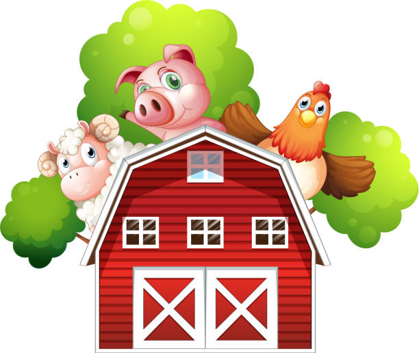 ilustraciones, imágenes clip art, dibujos animados e iconos de stock de cordero, cerdo, pollo y poniendo en la parte posterior de barn - hide leather backgrounds isolated
