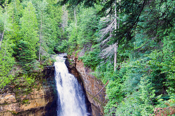 istock Waterfall in green forest, Michigan USA 175623865