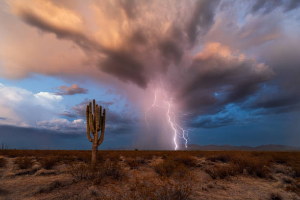 istock Monsoon thunderstorm with lightning in the Sonoran Desert 1756251819