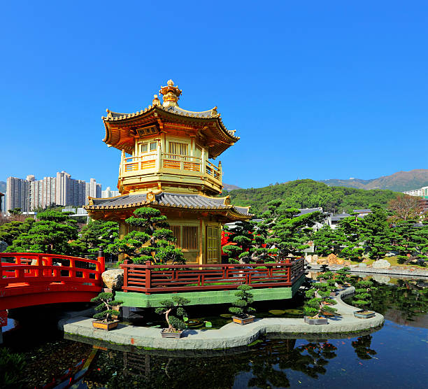 istock chinese garden with pavilion 175625393