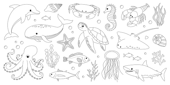 Sea and ocean animals coloring page. Cute dolphin, whale, crab, seahorse, starfish, lobster, turtle, stingray, octopus, shark, jellyfish and fish. Marine creatures outline set. Coloring book for print