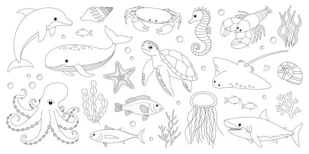 Vector illustration of Sea and ocean animals coloring page. Cute dolphin, whale, crab, seahorse, starfish, lobster, turtle, stingray, octopus, shark, jellyfish and fish. Marine creatures outline set. Coloring book for print