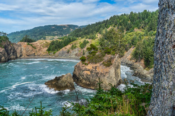 istock Oregon Coastal Lanscape 4 1756276133