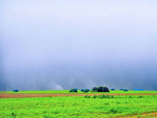 Storm stock photo