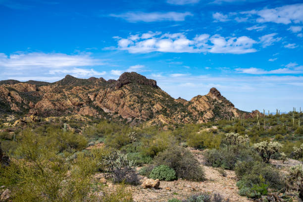 istock Arizona Desert landscapes with Cactus 1756299856