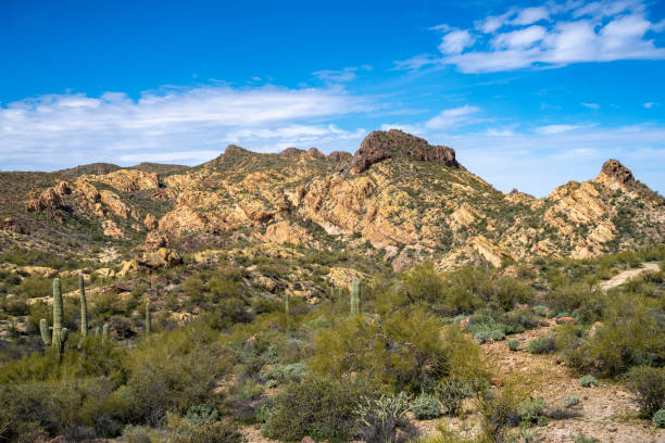 istock Arizona Desert landscapes with Cactus 1756300981