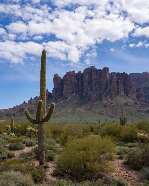 istock Arizona Desert landscapes with Cactus 1756300983