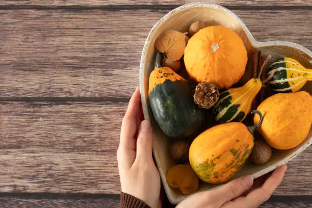 Female hands holding a heart-shaped dish with decorative pumpkins, nuts, and autumn leaves on wooden background. Top view, copy space. Thanksgiving day, love the seasonal organic food concept.