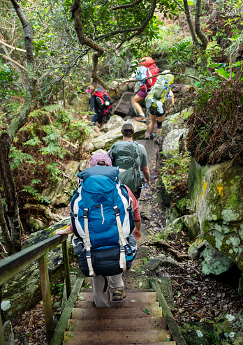 Rear view of a group of friends in outdoor gear and wearing backpacks walking down steps during a wilderness hike