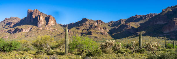 istock Arizona Desert landscapes with Cactus 1756306458