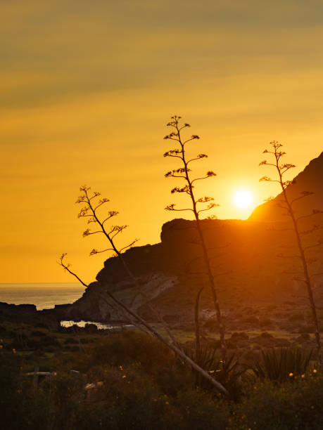 Coastal landscape at sunset. Cabo de Gata Natural Park, Andalusia Spain.
