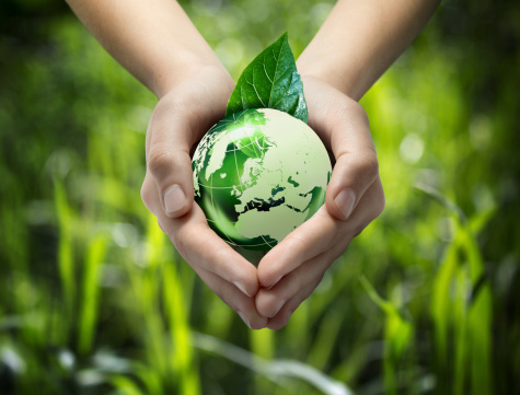 glass globe in hands - green grass background