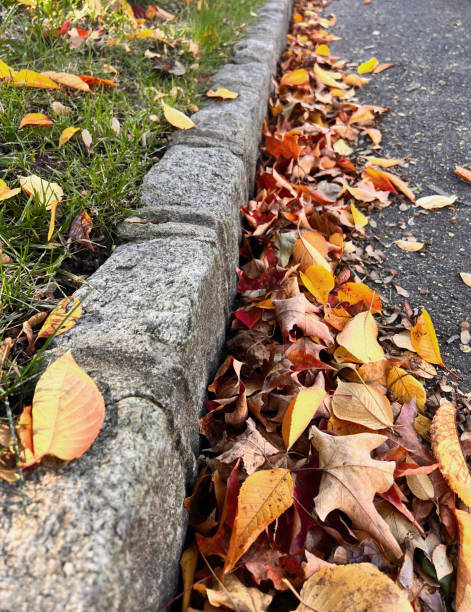 istock Autumn Leaves by Curb 1756340272