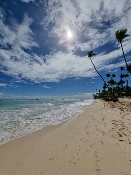 istock Beach day Dominican Republic 1756349778