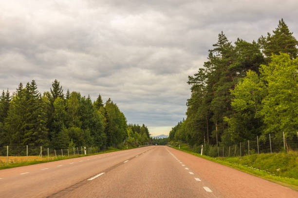 A delivery truck crossing a highway bridge and heading into a forest.
