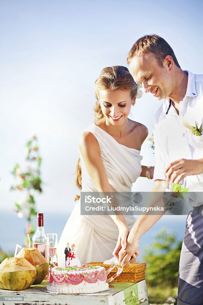 Brautpaar schneiden die Hochzeitstorte - Lizenzfrei Hochzeitstorte Stock-Foto