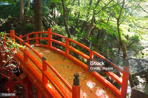 Ponte Giapponese - Fotografie stock e altre immagini di Acqua - Acqua, Albero, Ambientazione esterna