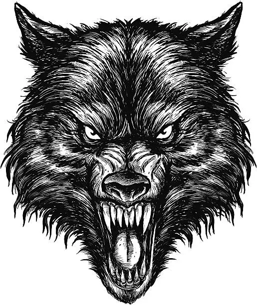 Vector illustration of Hand drawn Wolf Vector Illustration