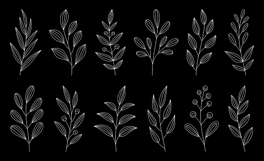 Set of hand drawn plants. Thin line illustration. Vector design elements.